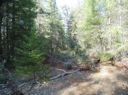 35-acres Balderson, Georgetown, CA 95634 Photo