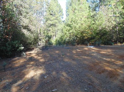 35-acres Balderson, Georgetown, CA 95634 Photo