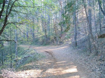 35-acres Balderson, Georgetown, CA 95634 Photo