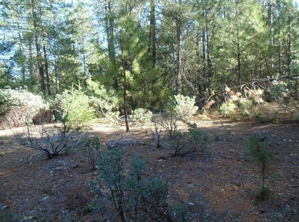 35-acres Balderson, Georgetown, CA 95634 Photo