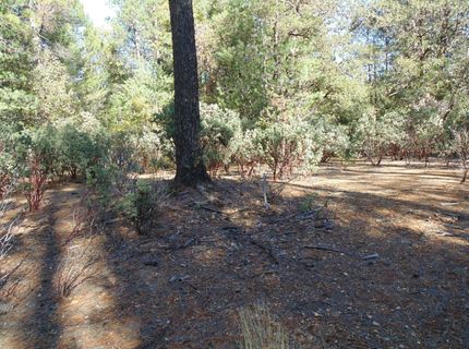 35-acres Balderson, Georgetown, CA 95634 Photo