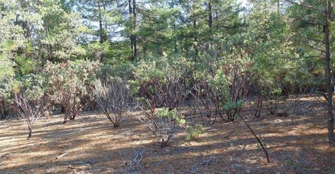 35-acres Balderson, Georgetown, CA 95634 Photo