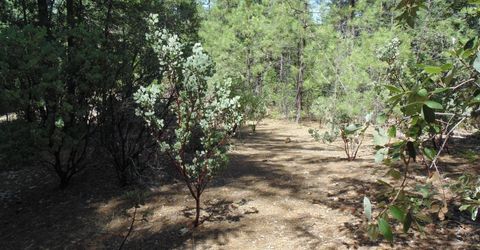 35-acres Balderson, Georgetown, CA 95634 Photo