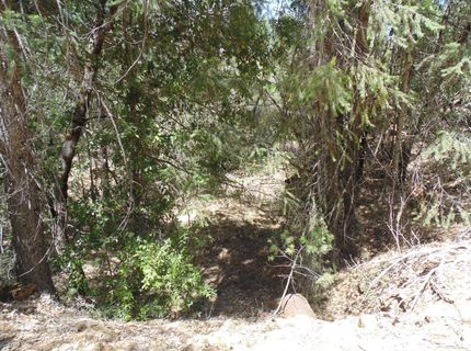 35-acres Balderson, Georgetown, CA 95634 Photo