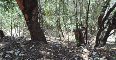 35-acres Balderson, Georgetown, CA 95634 Photo