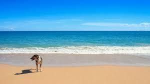 213 Ocean Dunes Circle, Jupiter, FL 33477 Photo