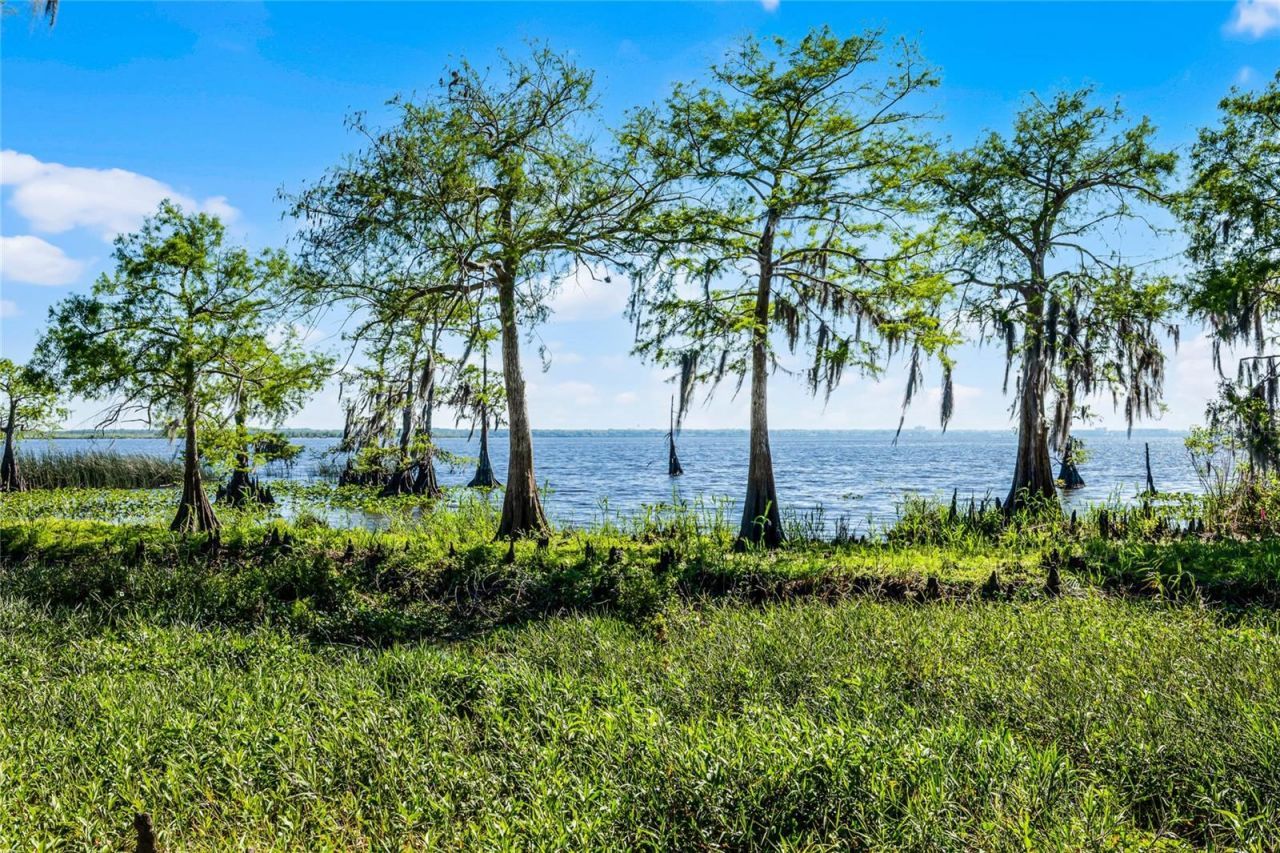 1475 Warrior Trail, Enterprise, FL 32725 Photo