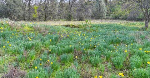 2500 N. View Ln, Placerville, CA 95667 Photo