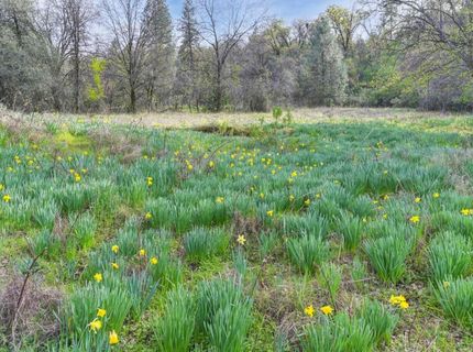 2500 N. View Ln, Placerville, CA 95667 Photo