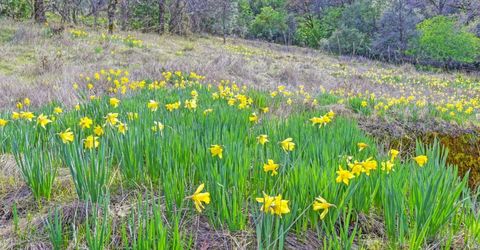 2500 N. View Ln, Placerville, CA 95667 Photo