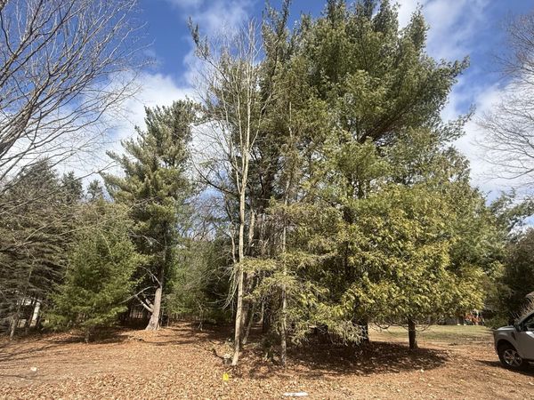 1112 2nd Street, Pentwater, MI 49449