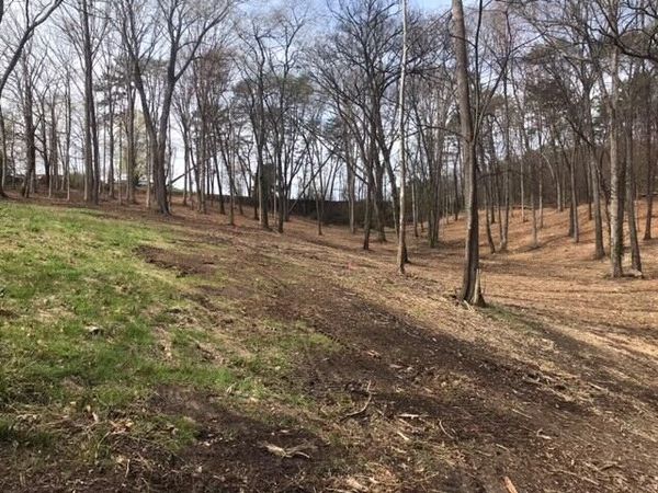 00 Tell Street, Athens, TN 37303