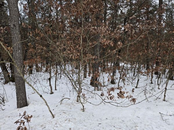 V/L Unity, Idlewild, MI 49642