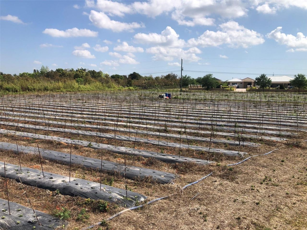 19550 SW 207 Ave, Miami, FL 33187 Photo