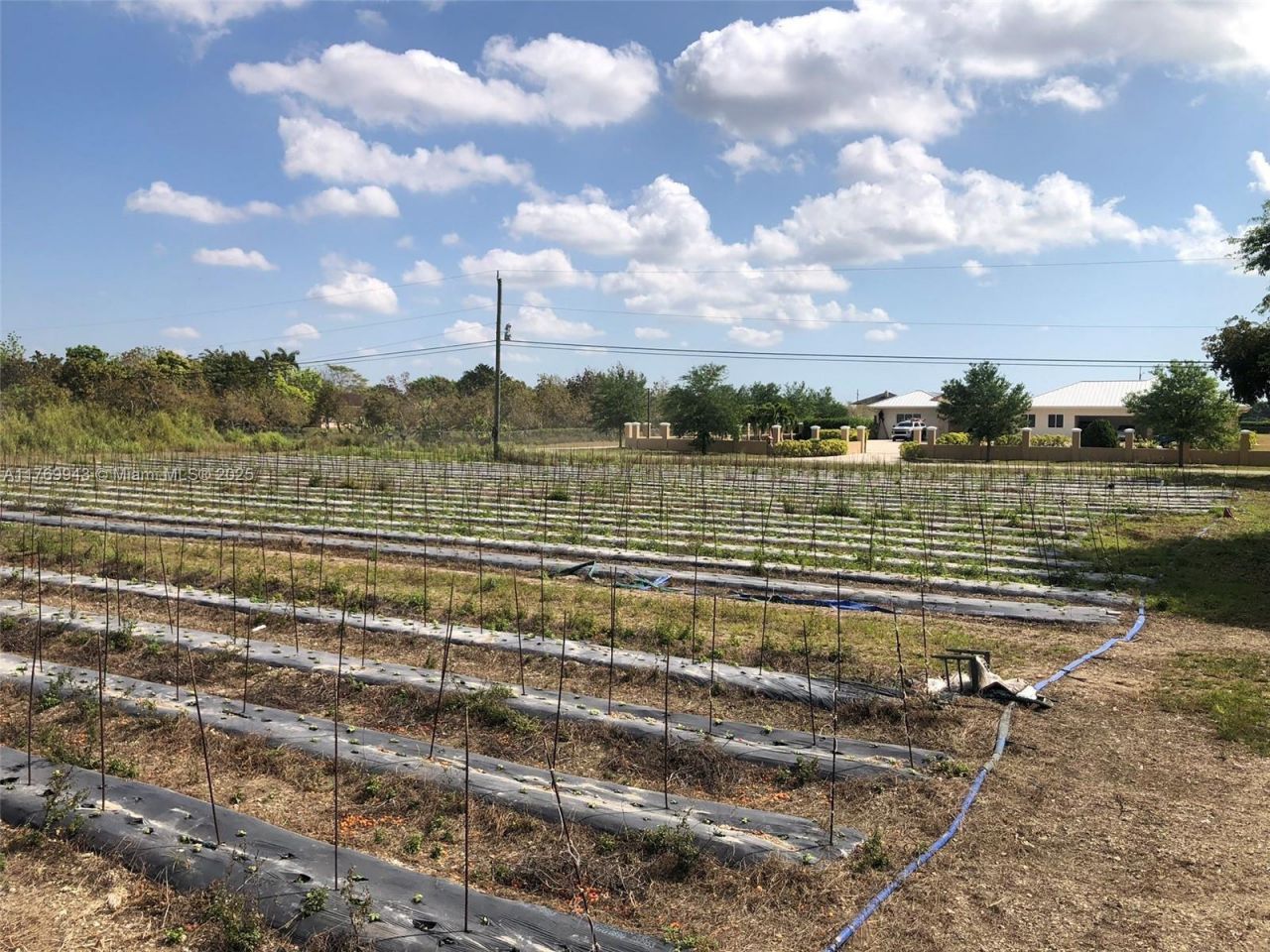 19550 SW 207 Ave, Miami, FL 33187 Photo