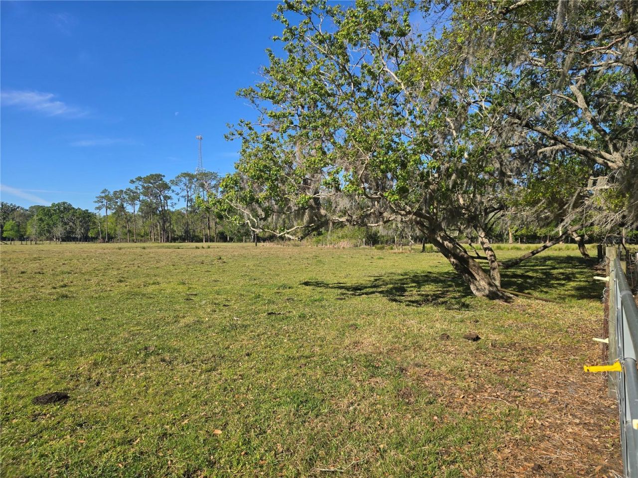 Johnson Road, Auburndale, FL 33823 Photo