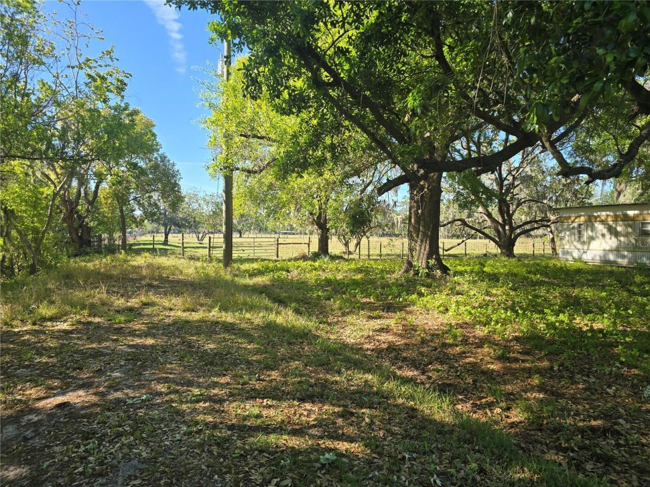Johnson Road, Auburndale, FL 33823 Photo