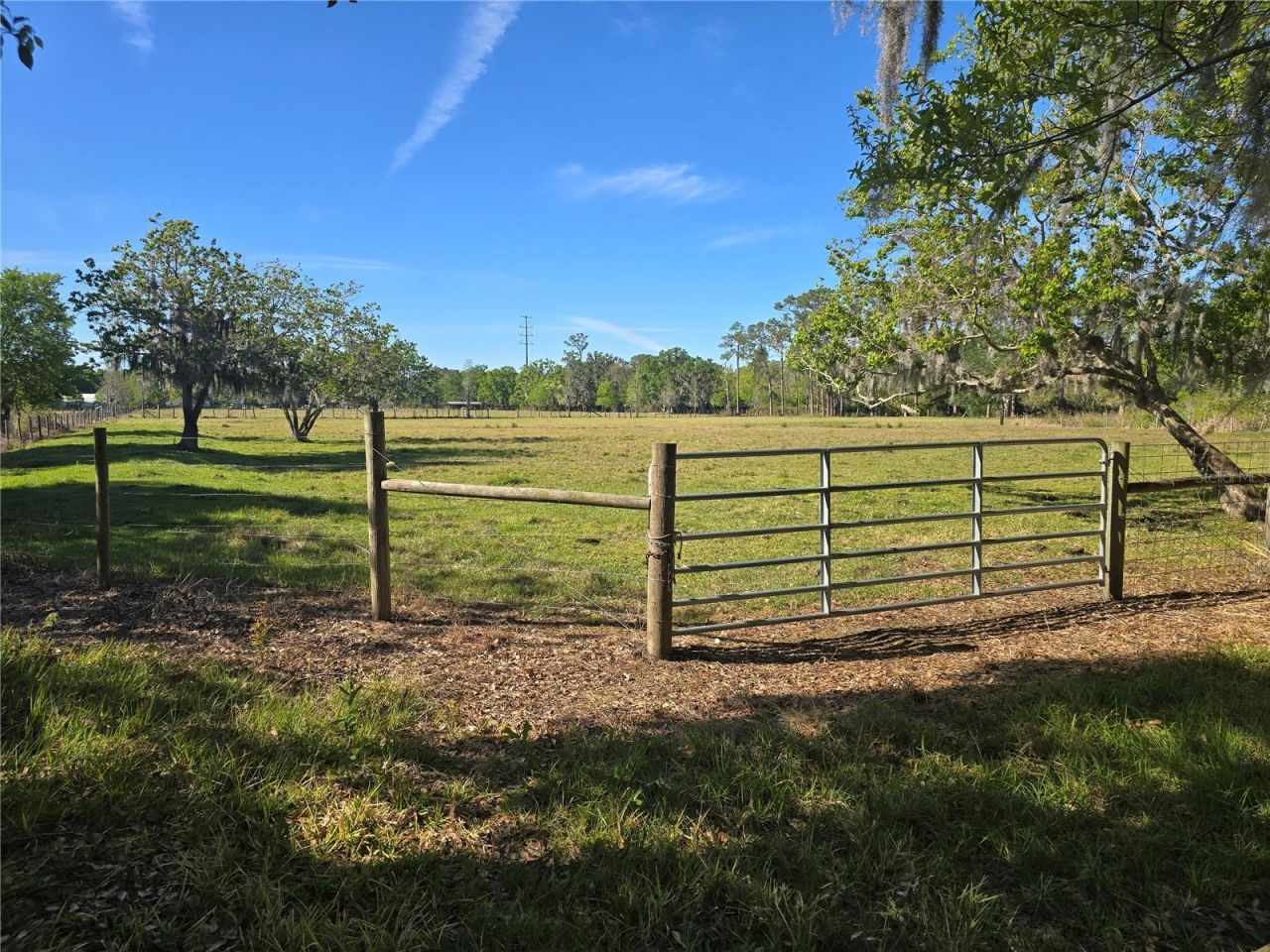 Johnson Road, Auburndale, FL 33823 Photo