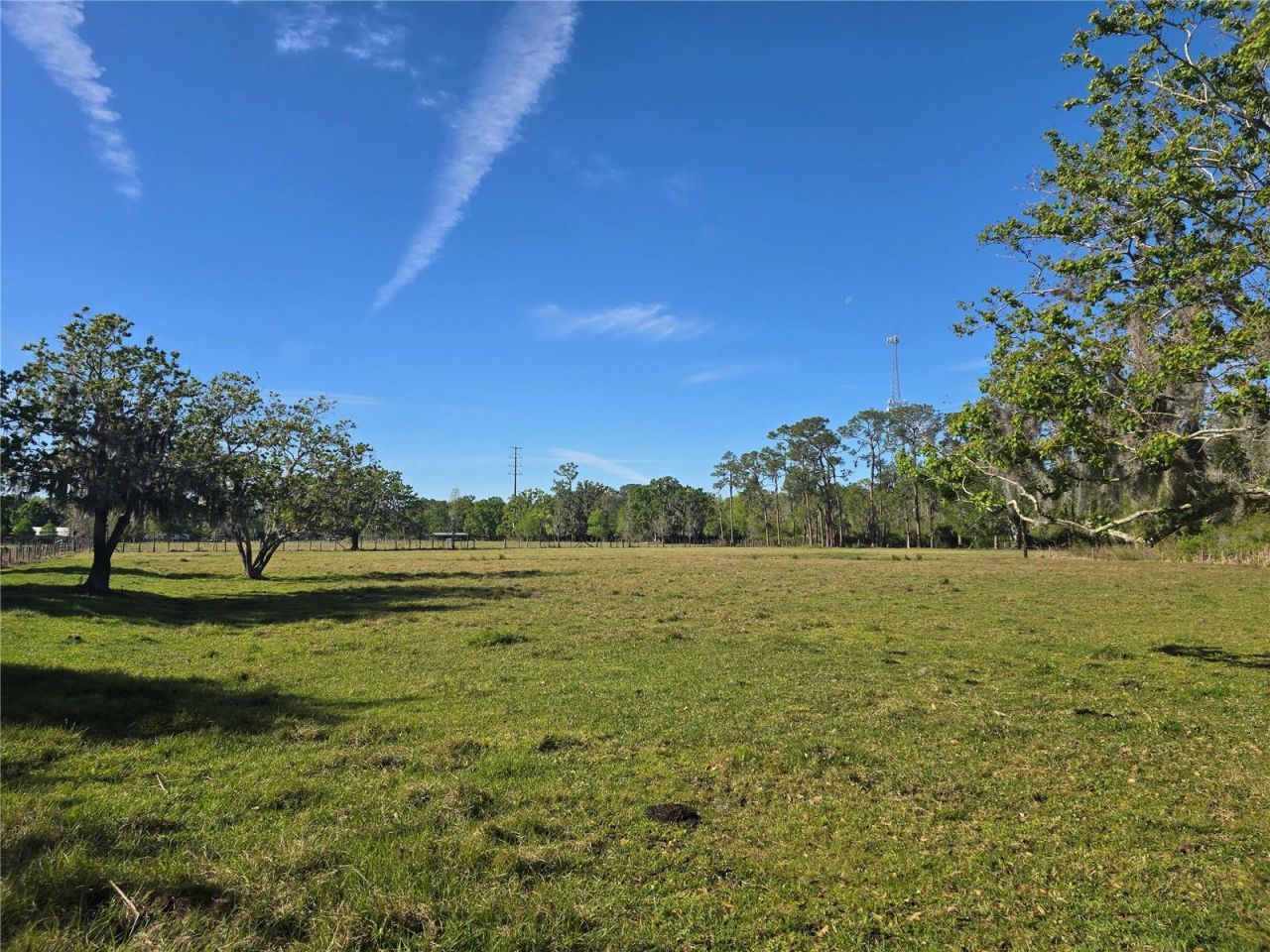 Johnson Road, Auburndale, FL 33823 Photo