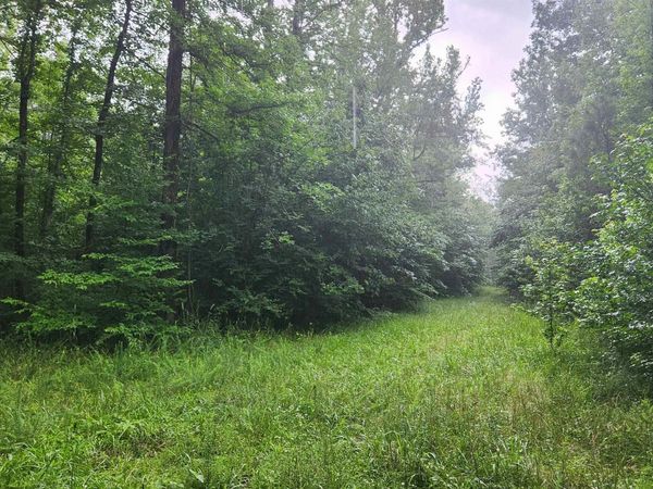 TBD Markerville Road, Story, AR 71970