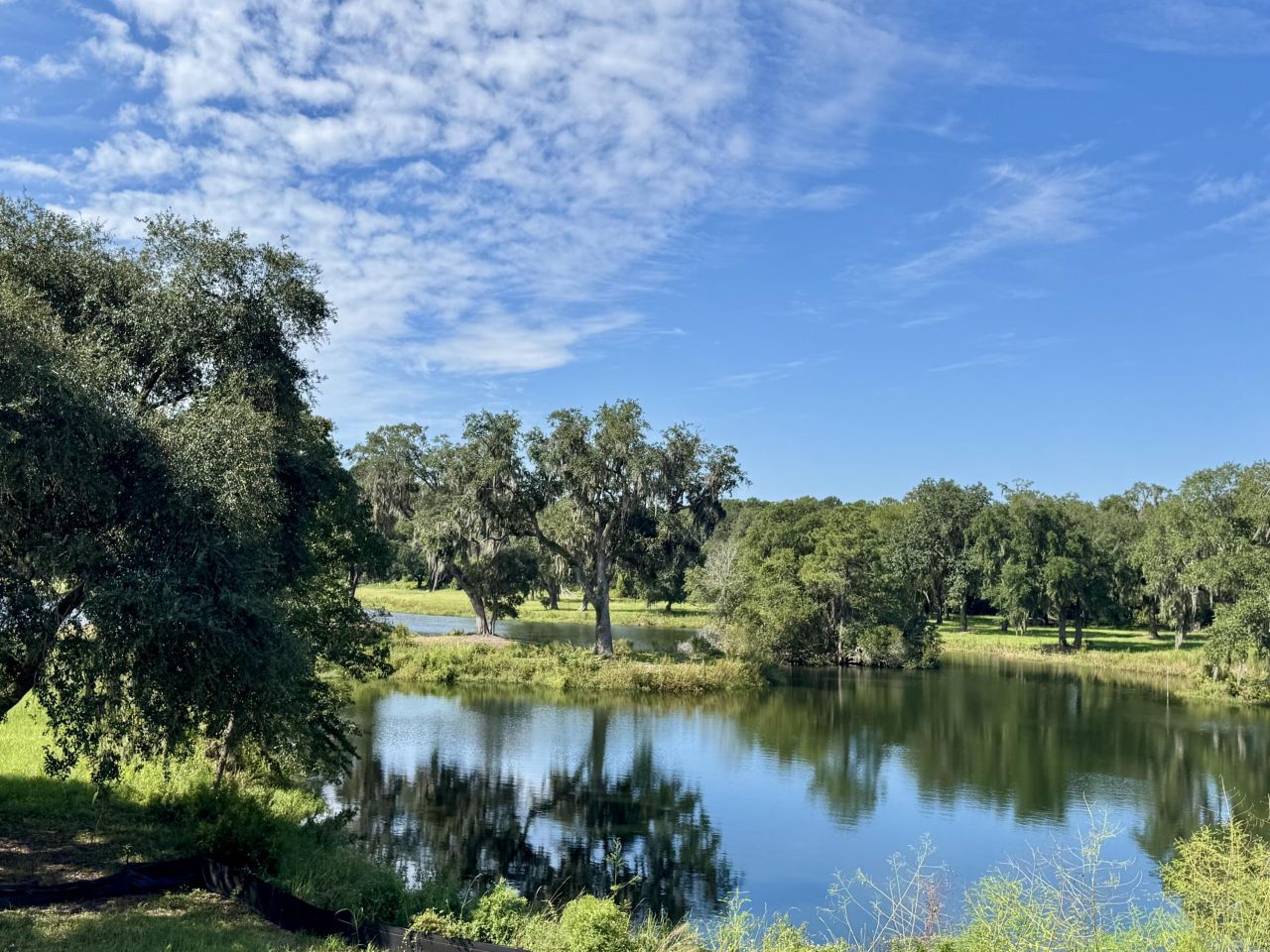 2964 Lodge Berry Lane Photo 5