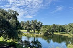 2964 Lodge Berry Lane photo 4