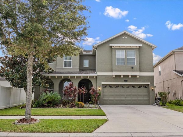 19214 EARLY VIOLET DRIVE NE, TAMPA, FL 33647