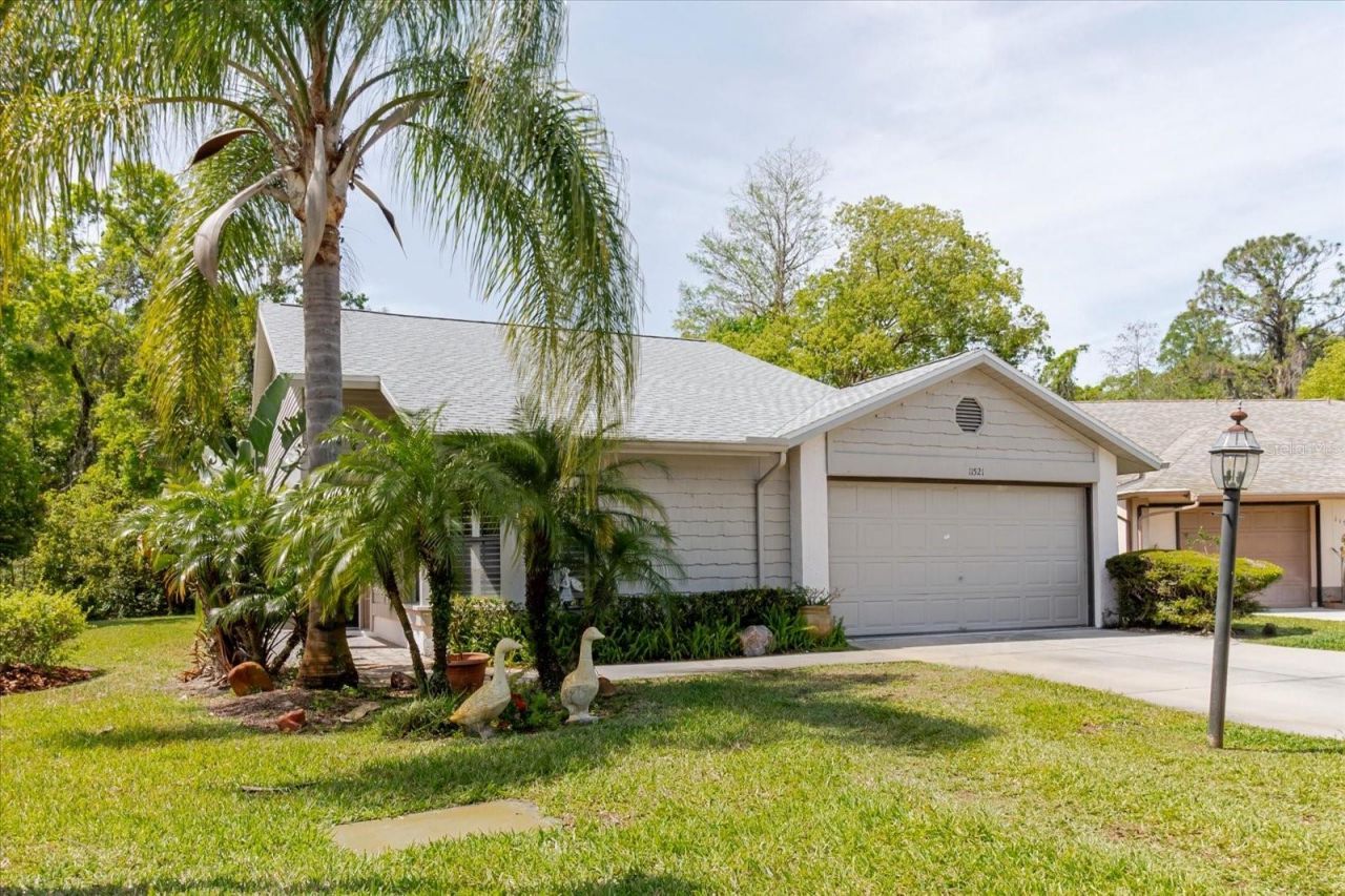 11521 Rose Tree Drive, New Port Richey, FL 34654 Main Photo