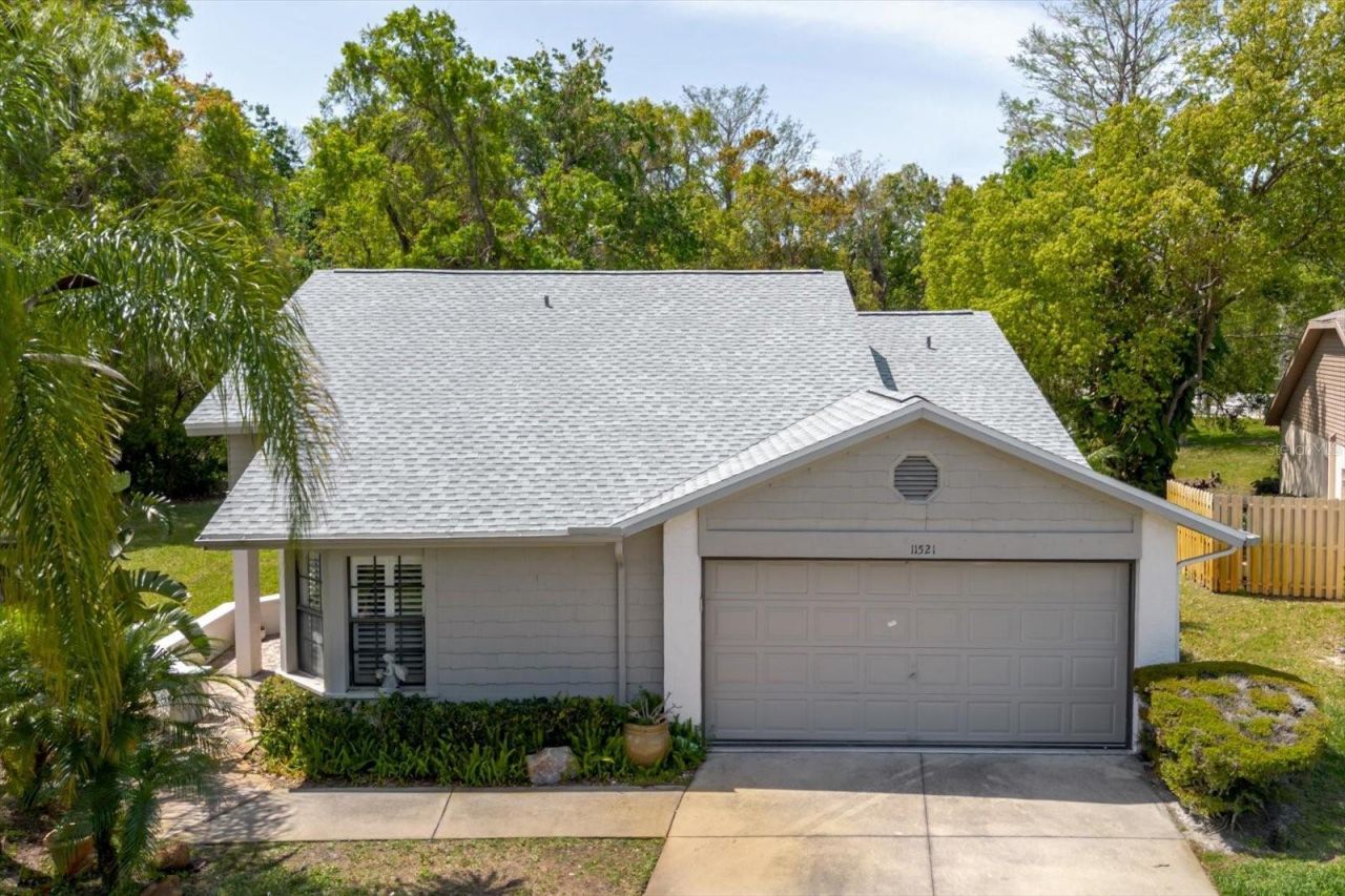 11521 Rose Tree Drive, New Port Richey, FL 34654 Photo