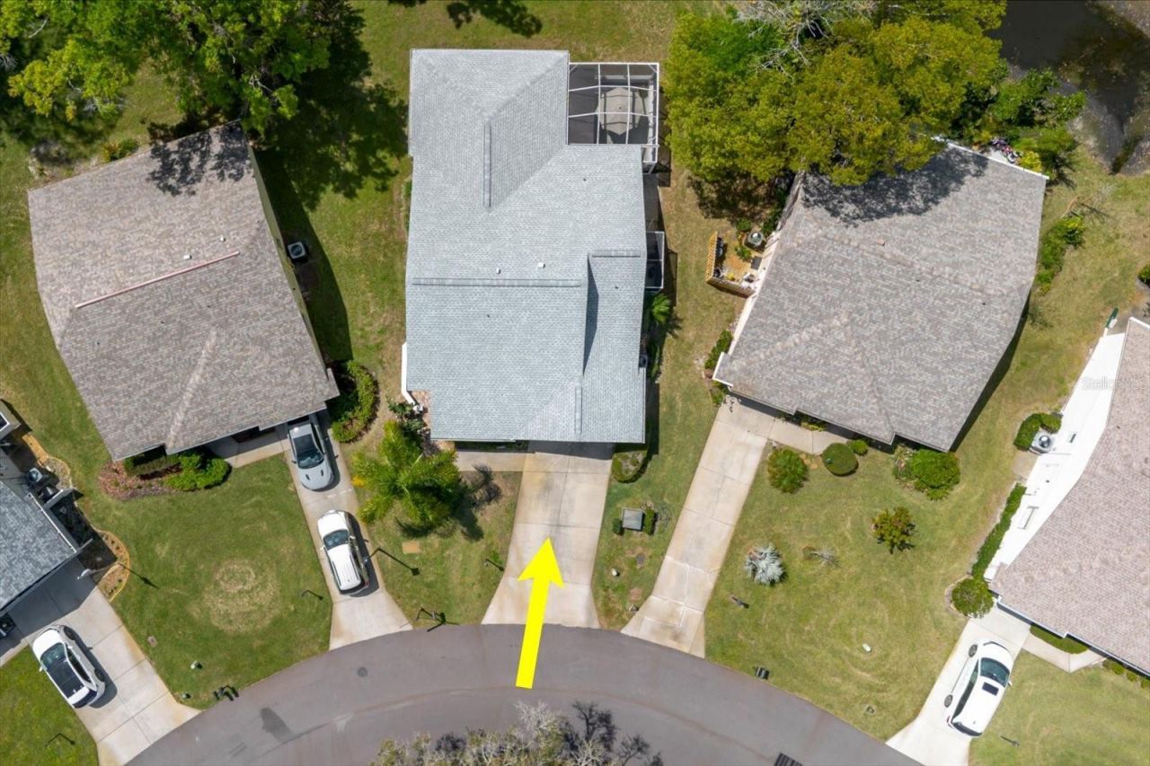 11521 Rose Tree Drive, New Port Richey, FL 34654 Photo