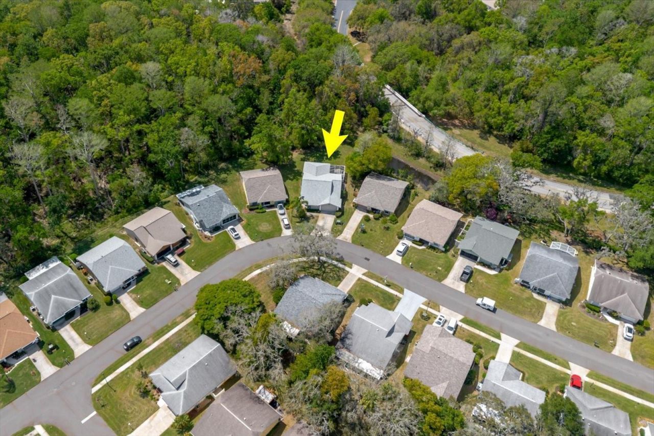 11521 Rose Tree Drive, New Port Richey, FL 34654 Photo