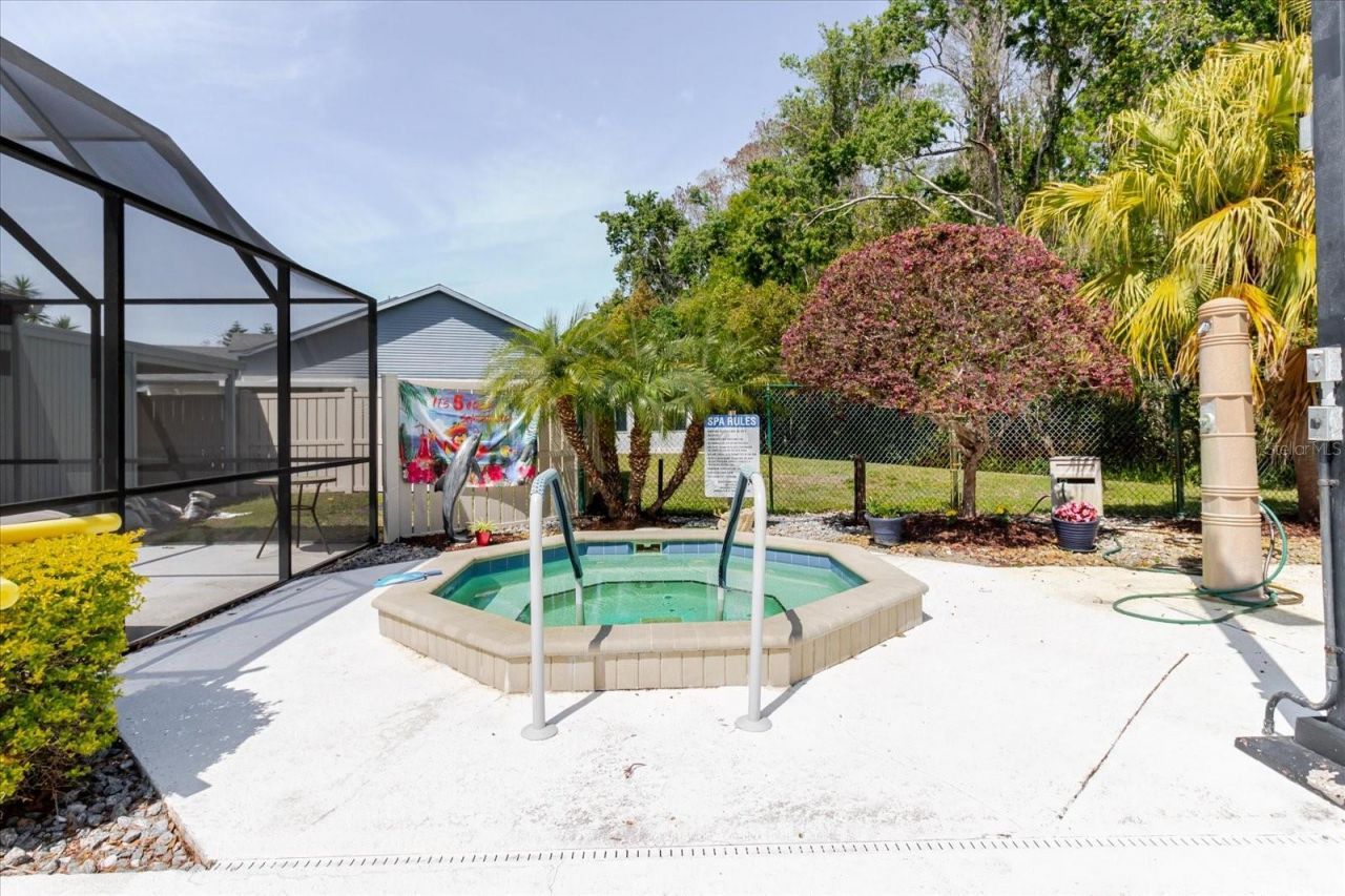 11521 Rose Tree Drive, New Port Richey, FL 34654 Photo