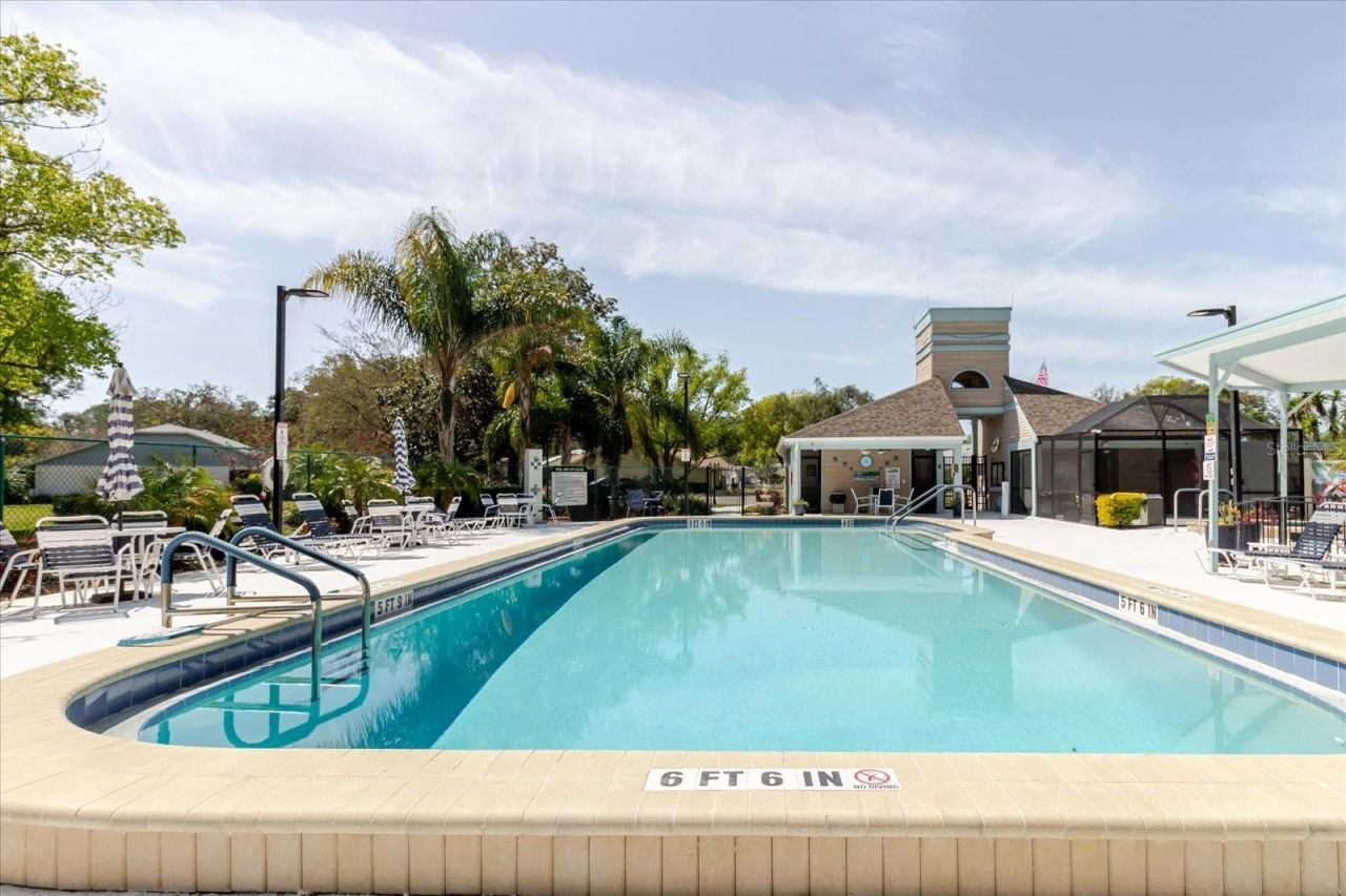 11521 Rose Tree Drive, New Port Richey, FL 34654 Photo