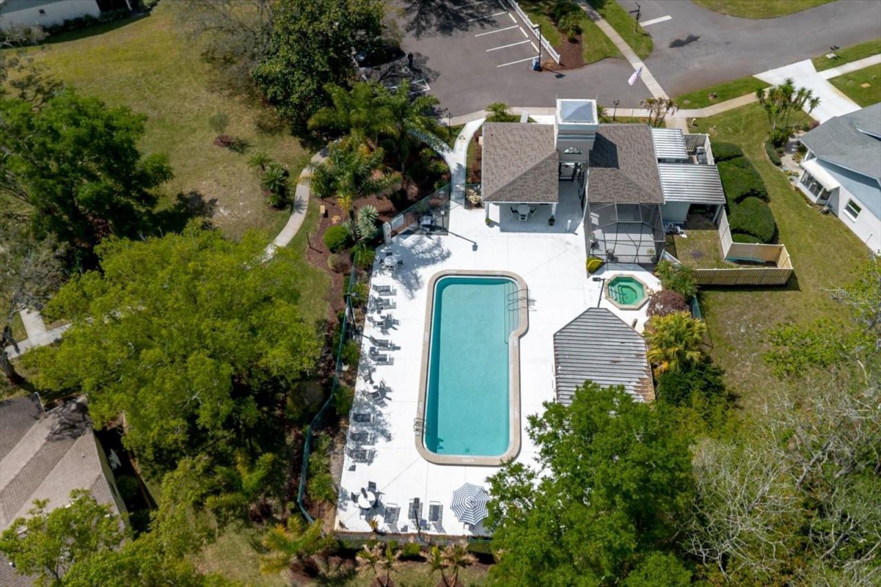 11521 Rose Tree Drive, New Port Richey, FL 34654 Photo