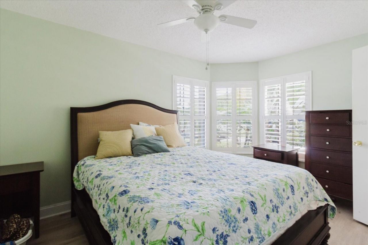 11521 Rose Tree Drive, New Port Richey, FL 34654 Photo