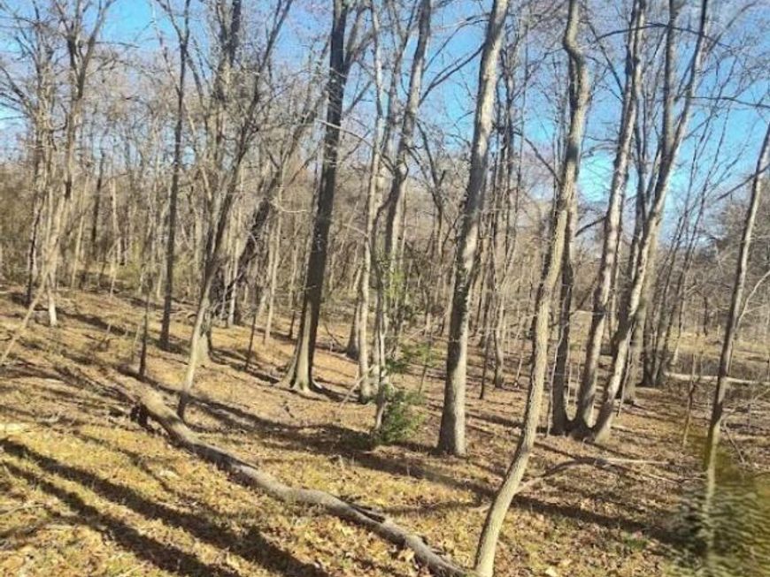 Saint Barnabas Road, Oxon Hill, MD 20745 Main Photo