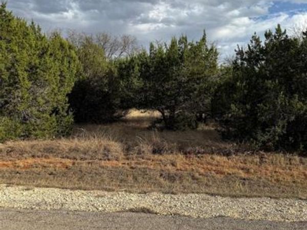 32039 Dove Trail, Whitney, TX 76692