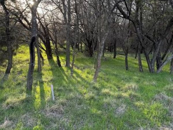 12147 Trailwood Drive, Whitney, TX 76692