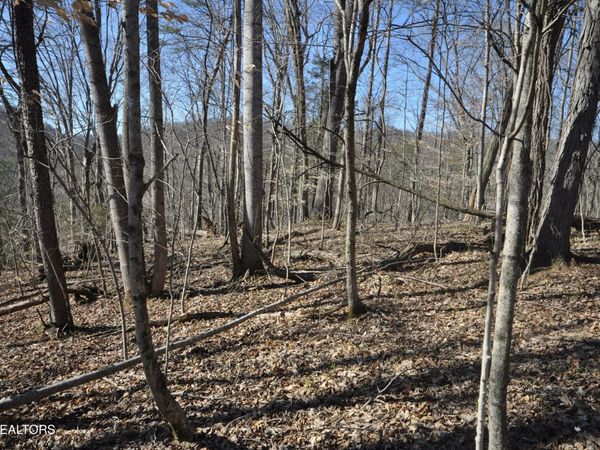 00 Old Tazewell Pike, Luttrell, TN 37779