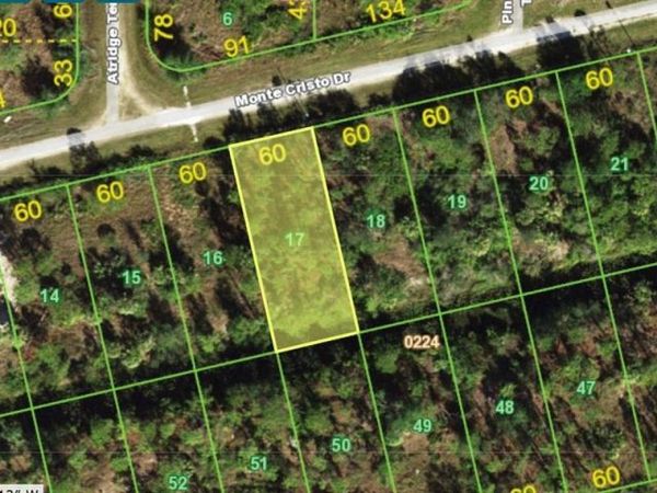 28117 MONTE CRISTO DRIVE, PUNTA GORDA, FL 33955