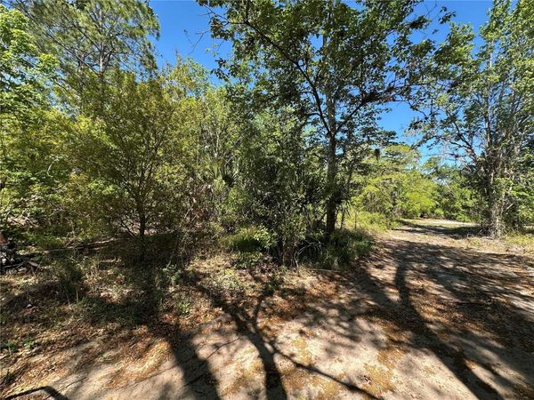 268 SPOONBILL DRIVE, KISSIMMEE, FL 34759