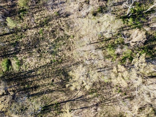 5370 Clinton-Tinnin Road, Jackson, MS 39209