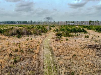 0 S Locust, Denmark, SC 29042