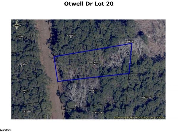 TBD Otwell Dr., Johnsonville, SC 29555