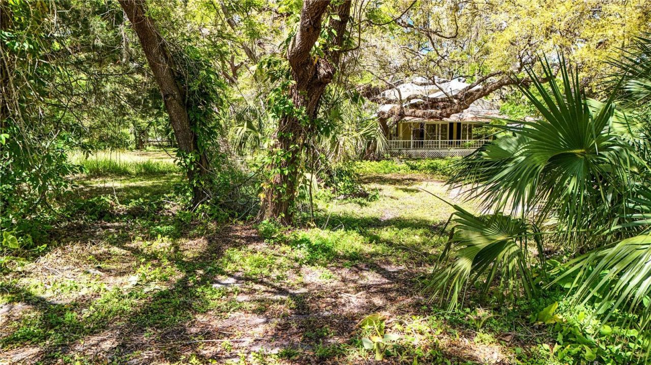 9240 Creston Avenue, New Port Richey, FL 34654 Photo