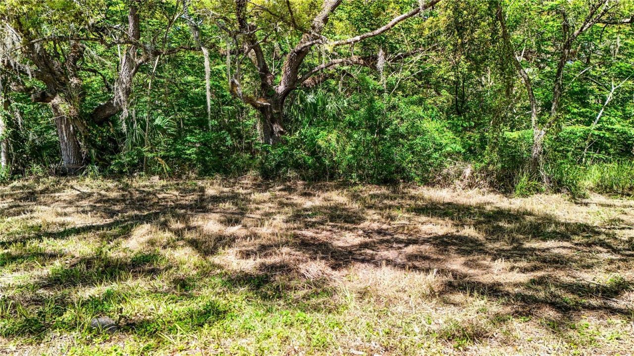 9240 Creston Avenue, New Port Richey, FL 34654 Photo