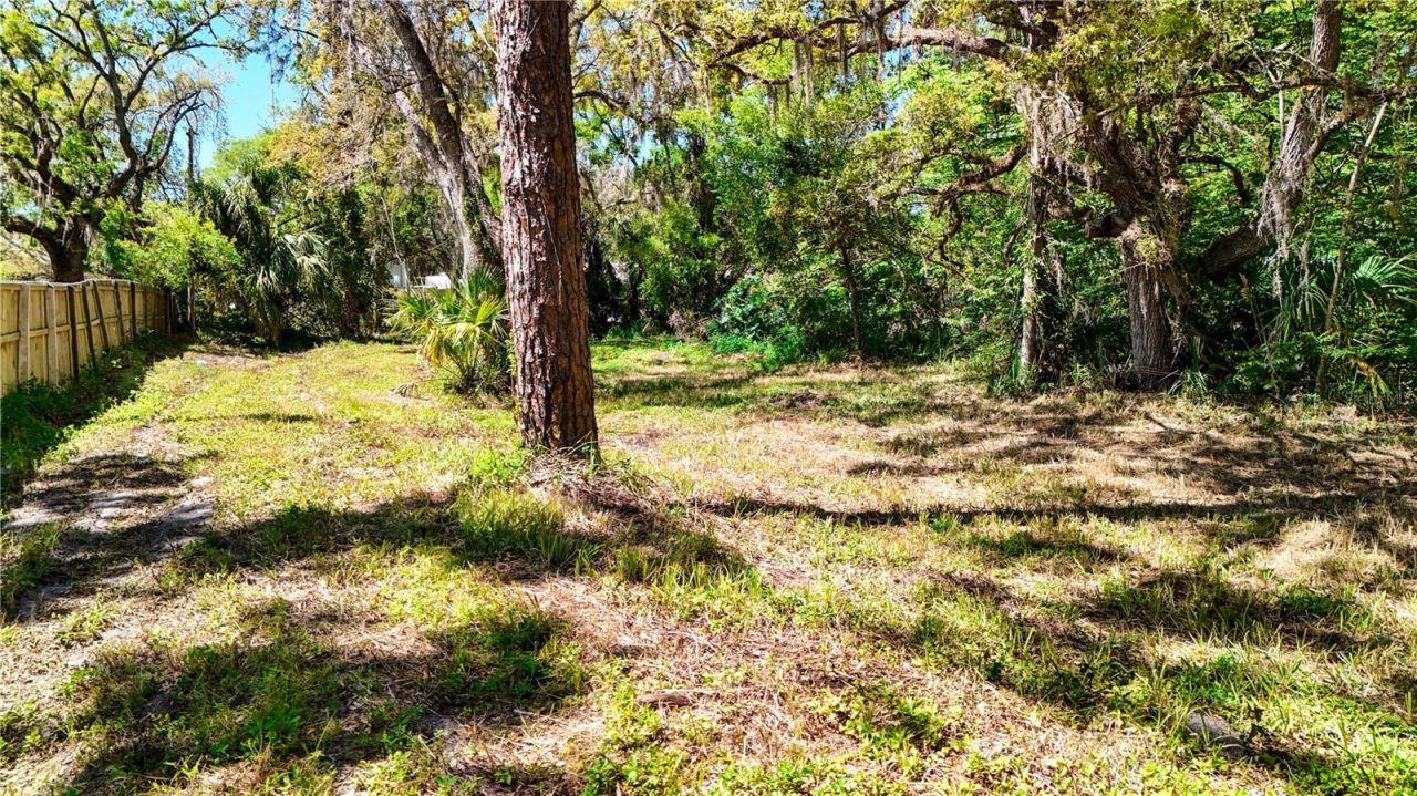 9240 Creston Avenue, New Port Richey, FL 34654 Photo