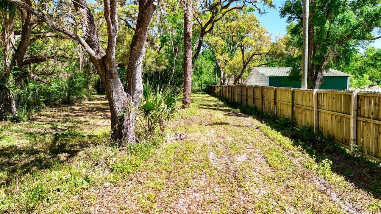 9240 Creston Avenue, New Port Richey, FL 34654 Photo