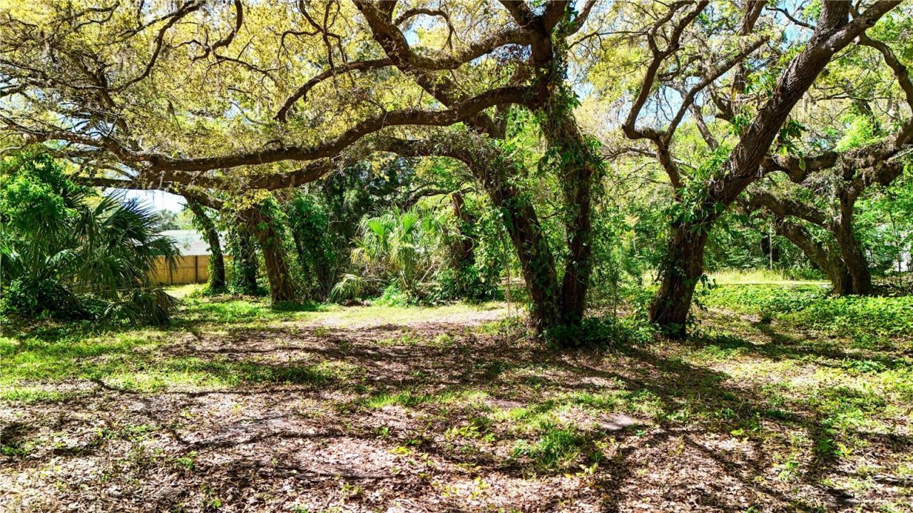 9240 Creston Avenue, New Port Richey, FL 34654 Photo