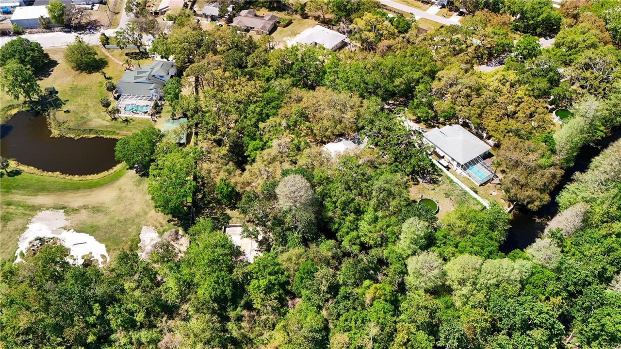 9240 Creston Avenue, New Port Richey, FL 34654 Photo